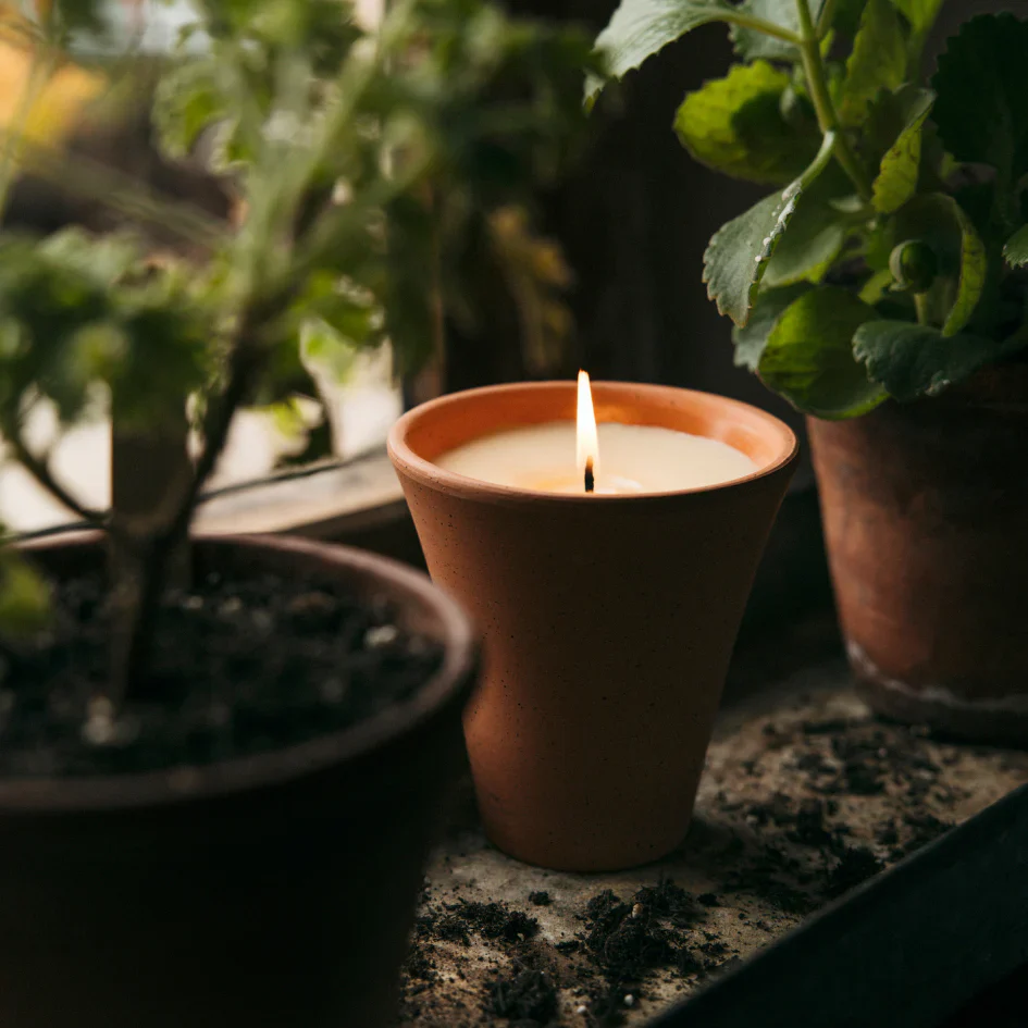 Victorian Herb Pot Large Bergamot & Nettle - Image 4
